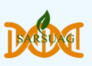Sarsuag
