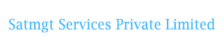 Satmgt Services