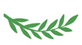 Savana Partners