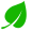 Saytrees