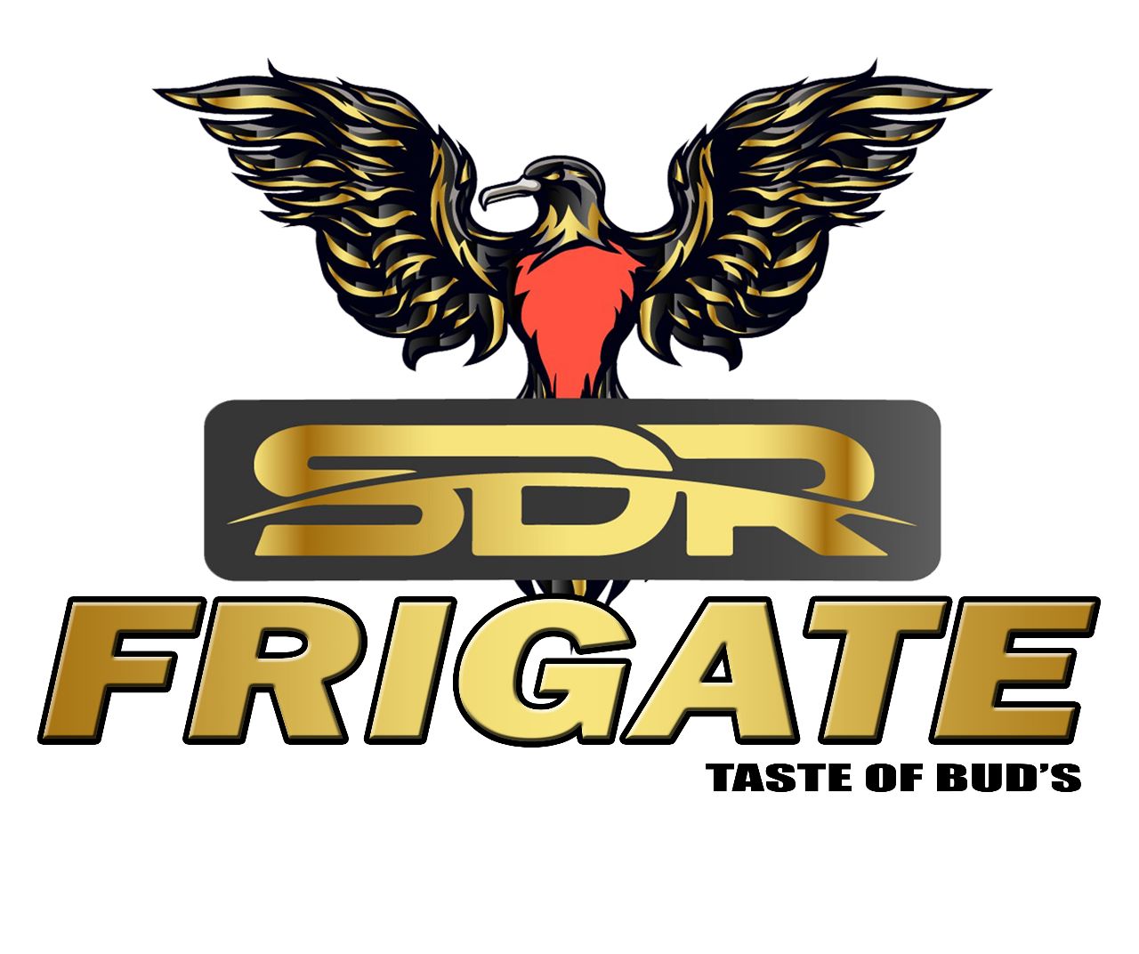 Sdr Frigate