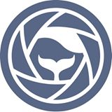 Seadogproductions