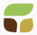 Seeds & Grains India