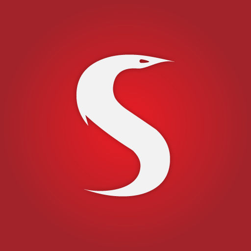Serpent Consulting Services