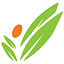 Shree Agro Group