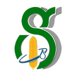 Shreegluco