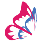 Shree Nidhi Trading Company