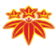 Sig Global