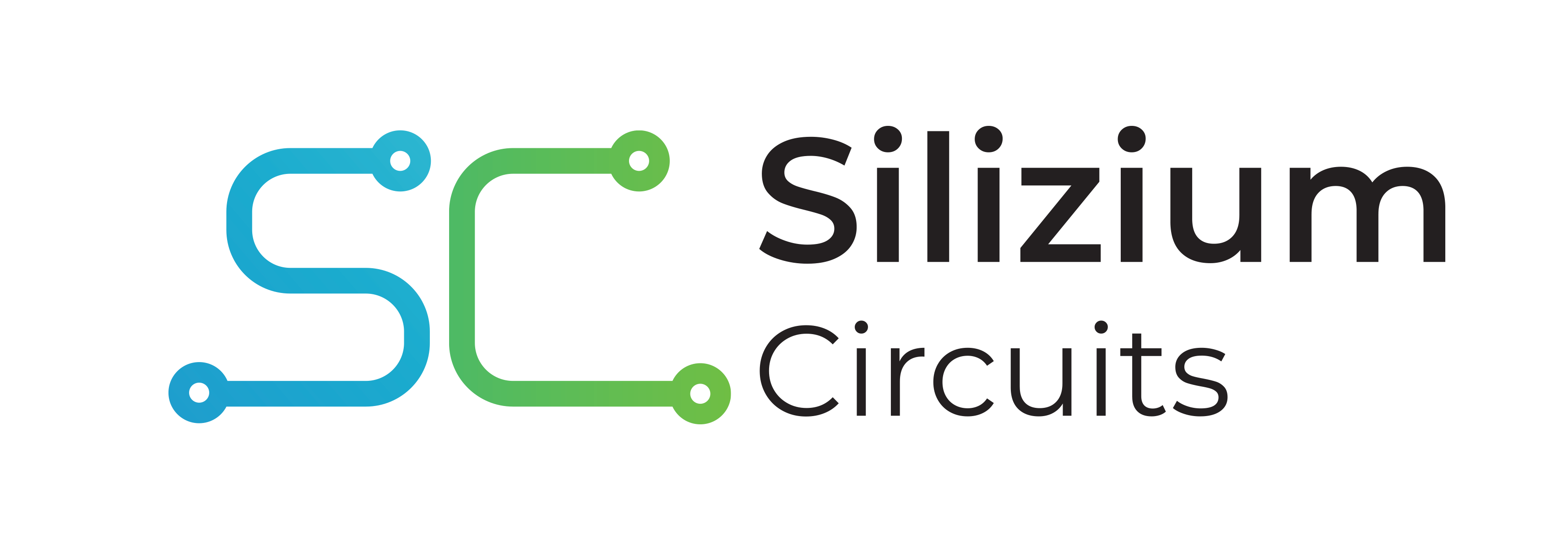 Silizium Circuits
