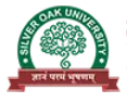 Silver Oak University