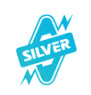 Silver Pumps & Motors
