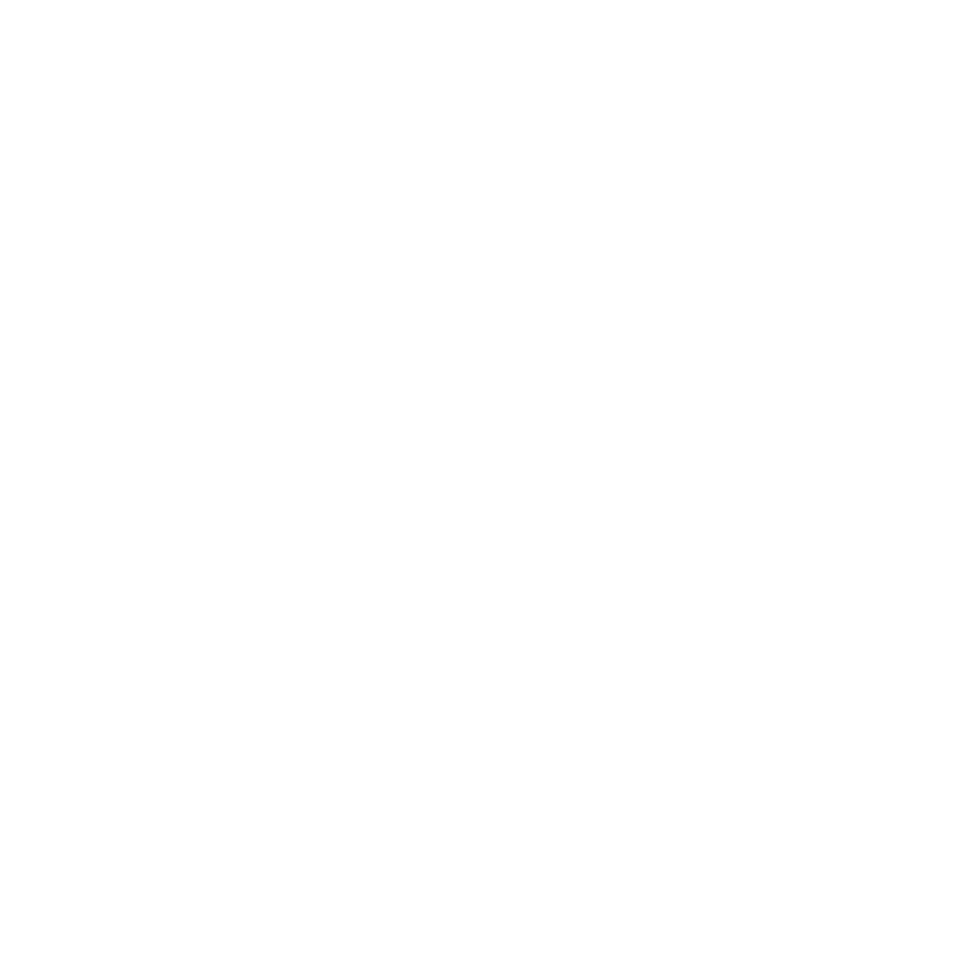 Skillicious