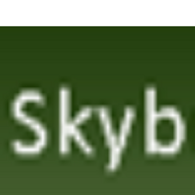 Skybridge Technology Group