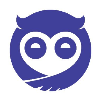 Sleepy Owl