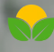 Solis