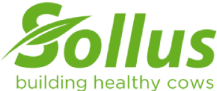 Sollus