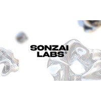 Sonzai