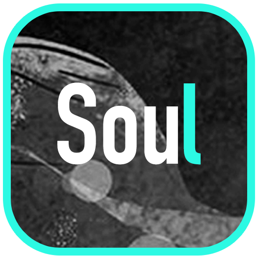 Soulapp