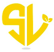 Soulocal Retail Technologies