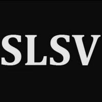 Sound And Light Social Ventures