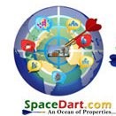 Space Dart