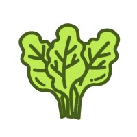 Spinach21