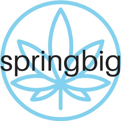Springbig