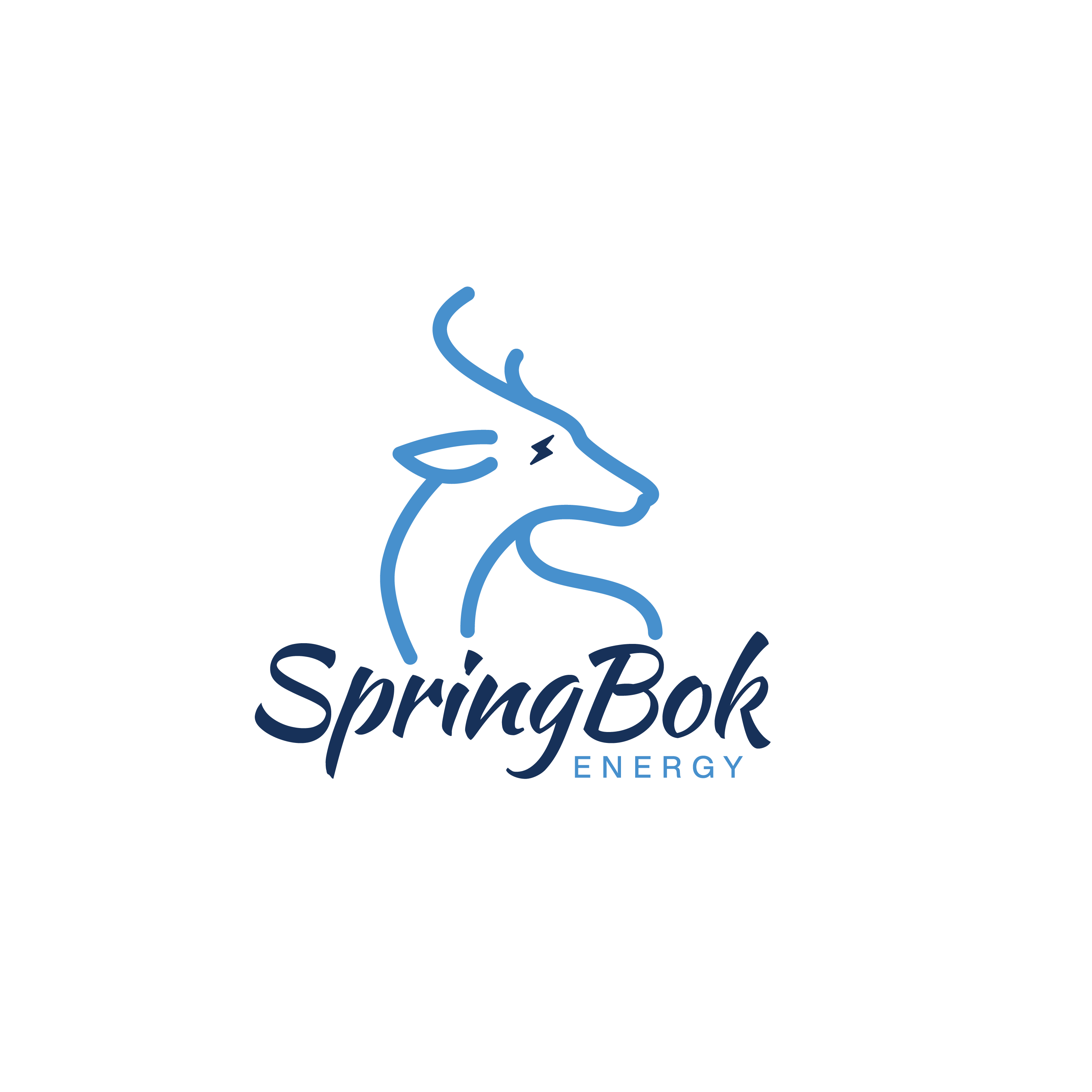 Springbok Energy