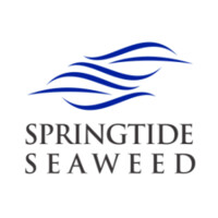 Springtideseaweed