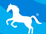 Stallion