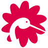 Staranddaisy