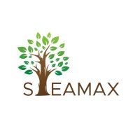 Steamax