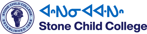 Stone Child