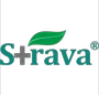 Strava Healthcare