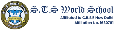 Sts World School