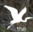 The Sustainability Group