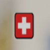 Swiss Military