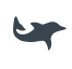 Synctacticai