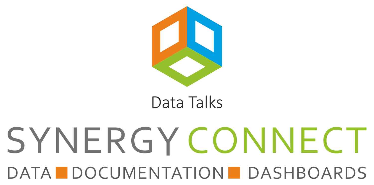 Synergyconnect Data Innovations Private Limited