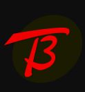 T3