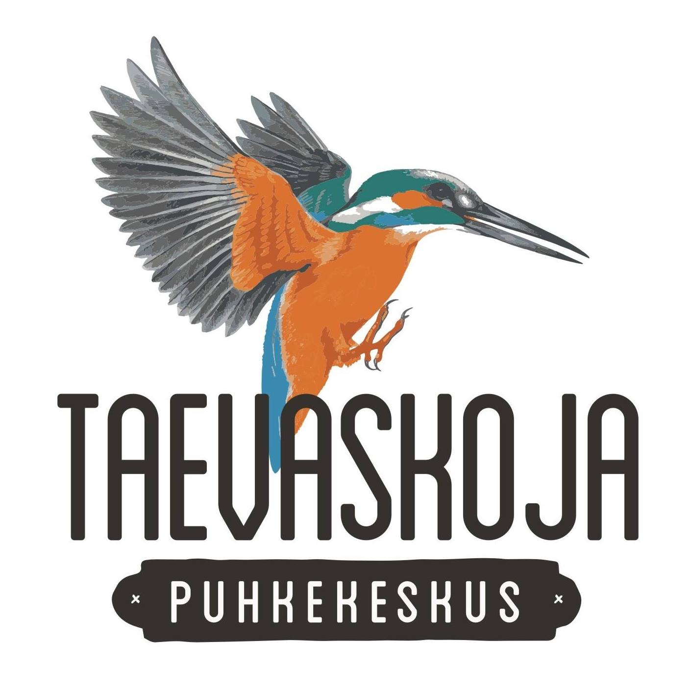 Taevaskoja