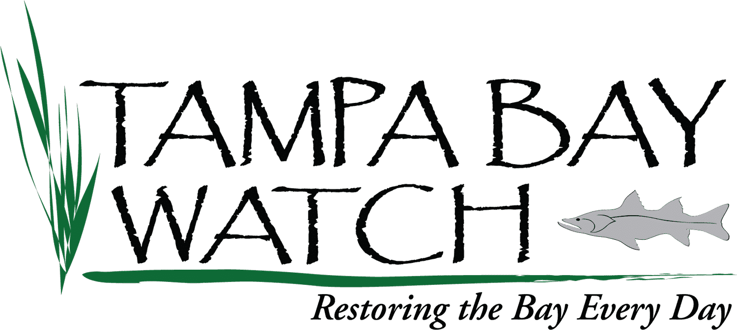 Tampa Bay Watch