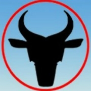 Taurus Hard Soft Solutions