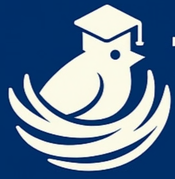 Teacher Nest Consultancy