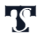 Techsimplus
