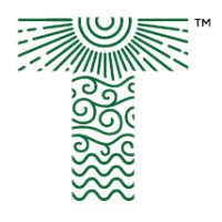 Tensor Dynamics