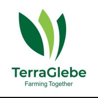 Terraglebe