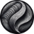 Scientia Ai