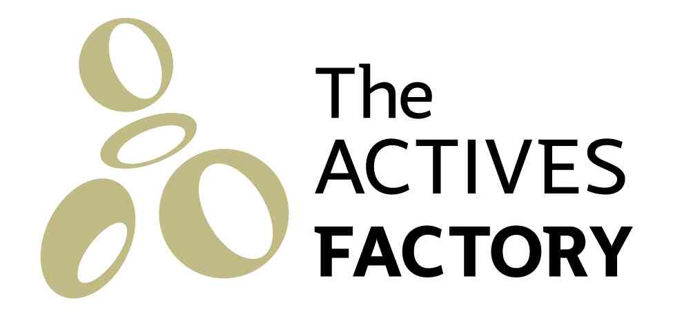 Theactivesfactory