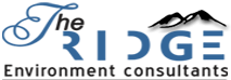 The Ridge Solutions